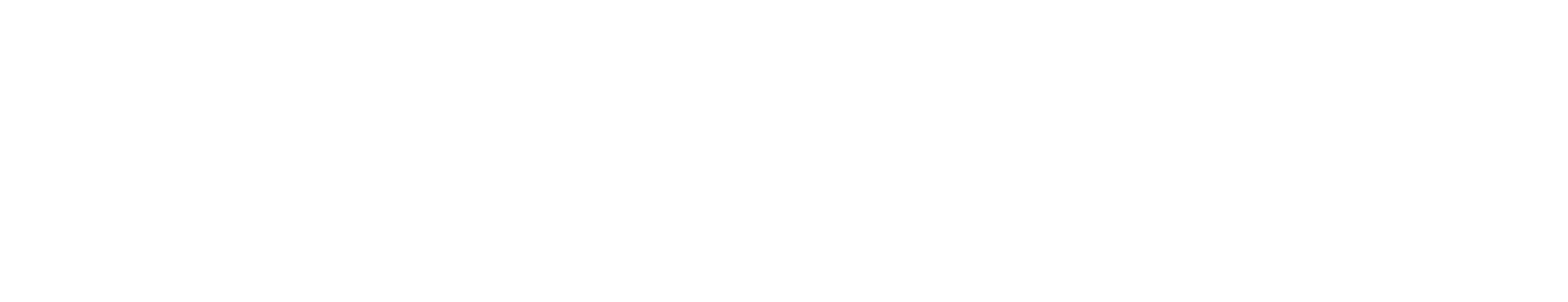 Cyber Limited Logo